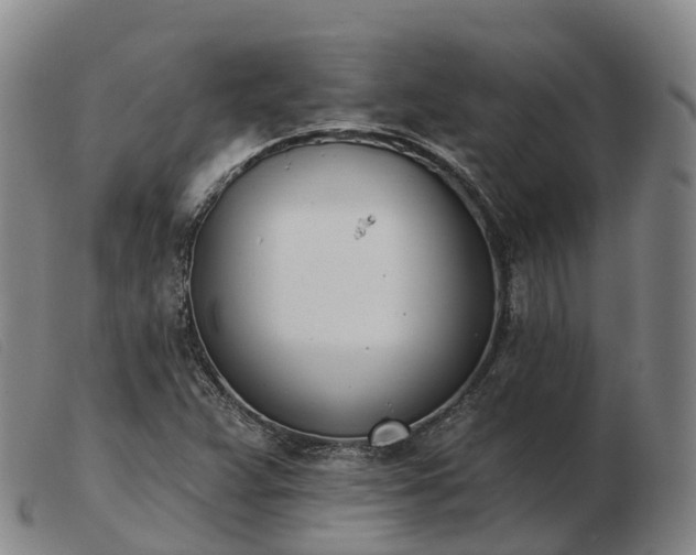 X0000103441359200809191715