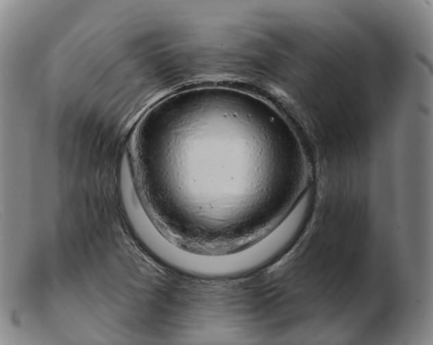 X0000103441361200809191714