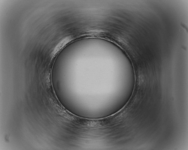 X0000103441362200809191714