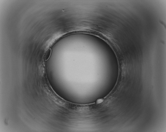 X0000103441363200809191714