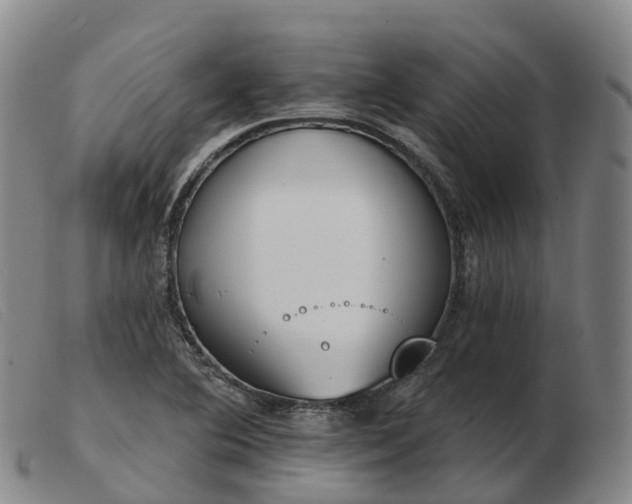 X0000103441364200809191714