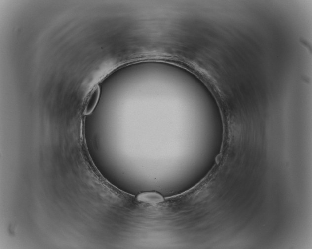 X0000103441365200809191714