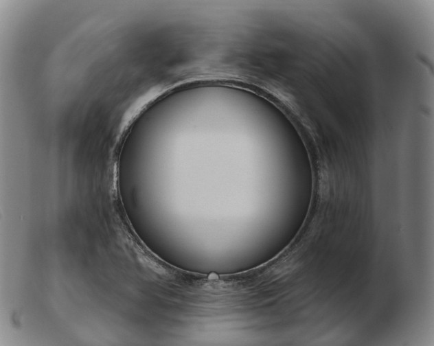 X0000103441366200809191714