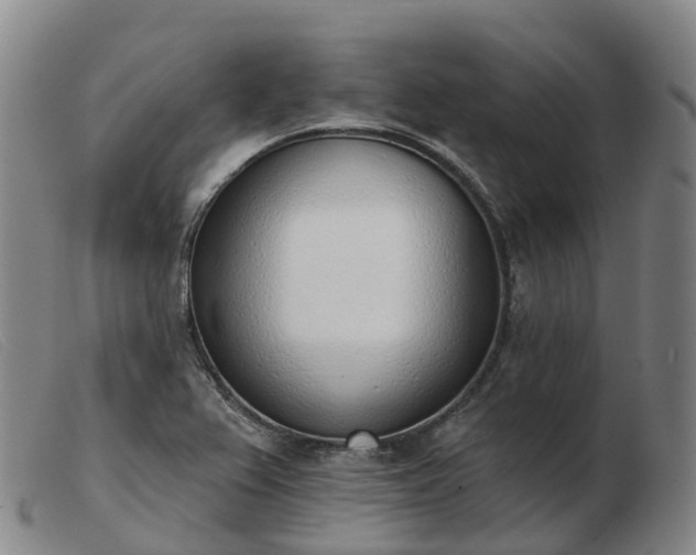 X0000103441367200809191714