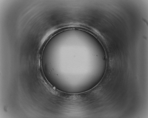 X0000103441368200809191714