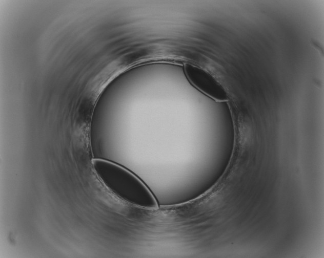 X0000103441369200809191714