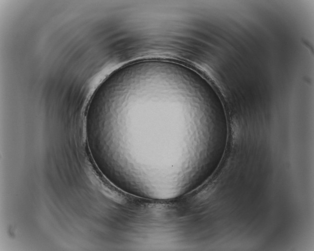 X0000103441371200809191714