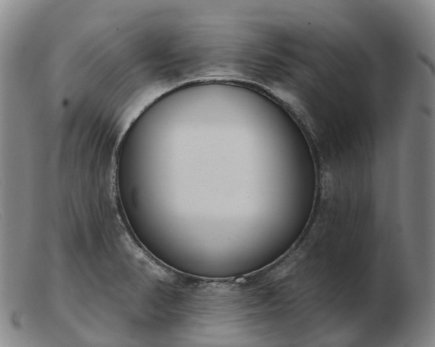 X0000103441374200809191714