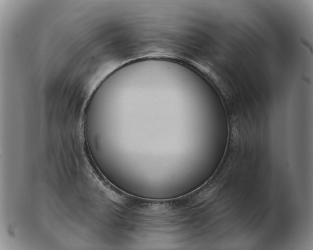 X0000103441375200809191714