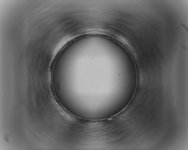 X0000103441376200809191714