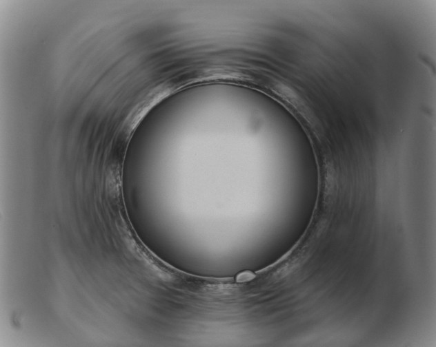 X0000103441377200809191714