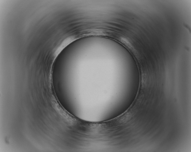 X0000103441378200809191714