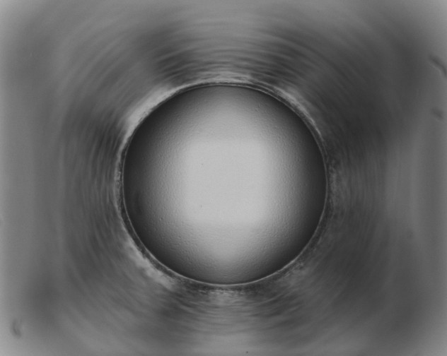 X0000103441379200809191714