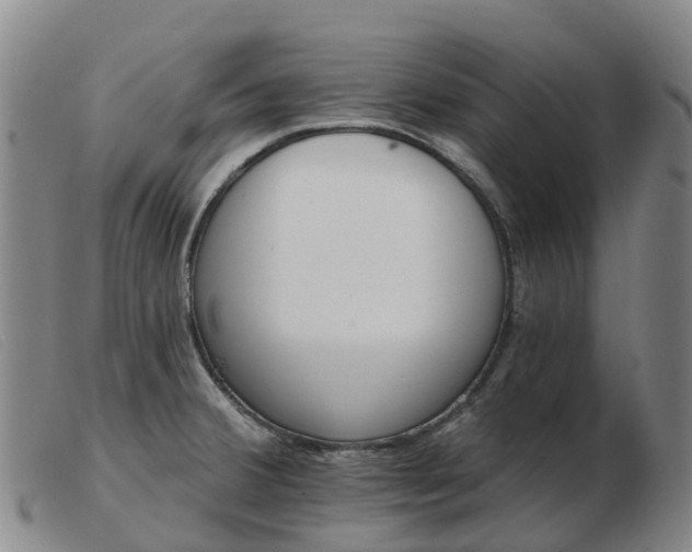 X0000103441380200809191714