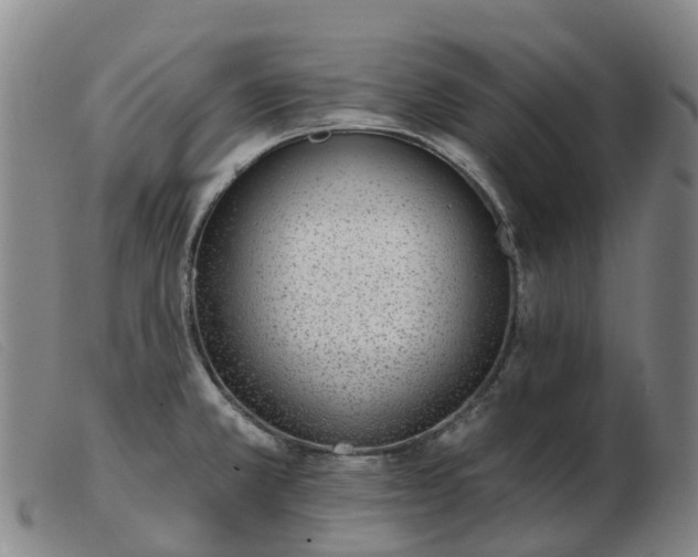 X0000103441381200809191714