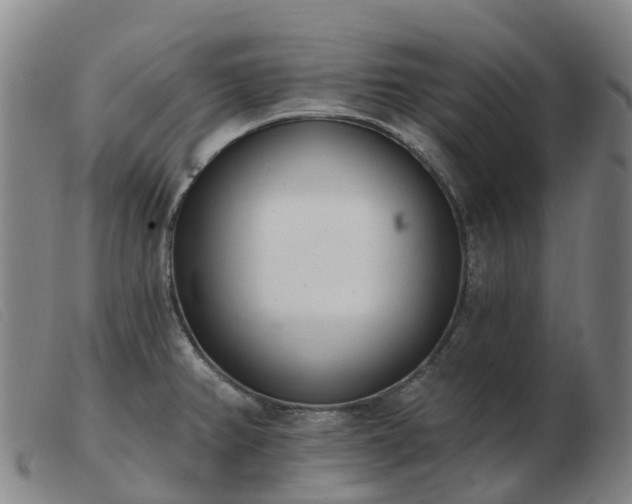 X0000103441382200809191714