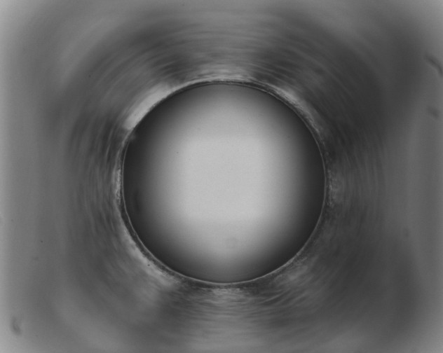 X0000103441383200809191714