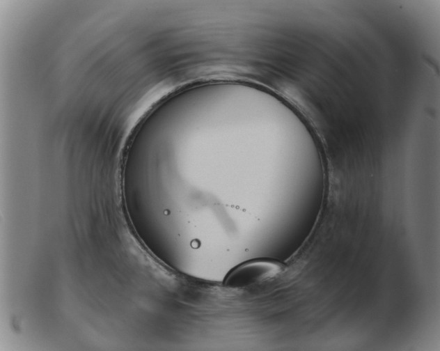 X0000103441384200809191714