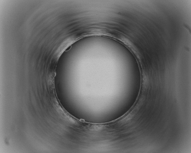 X0000103441385200809191714