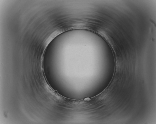 X0000103441386200809191714