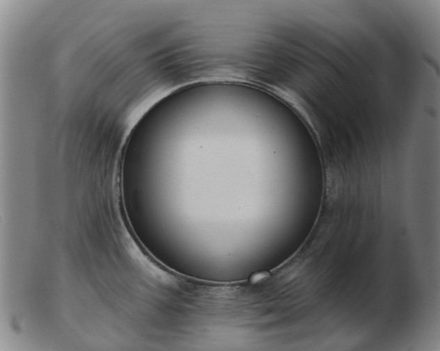 X0000103441387200809191714