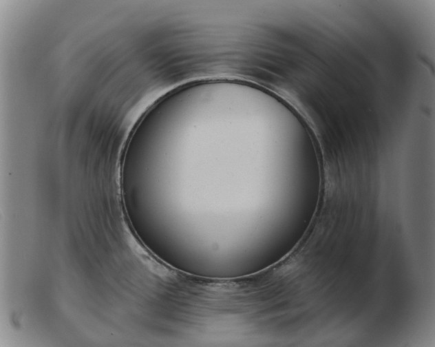 X0000103441388200809191714