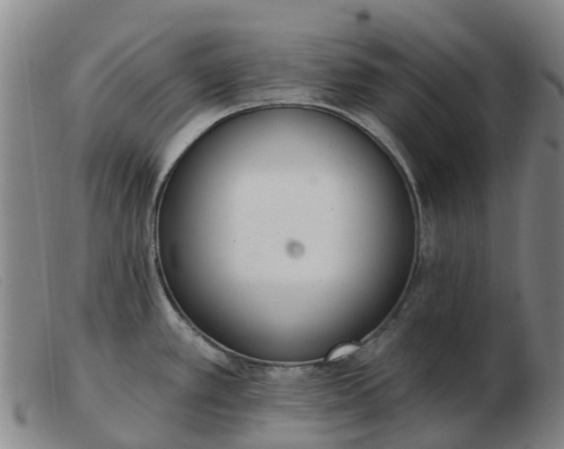 X0000103441389200809191714