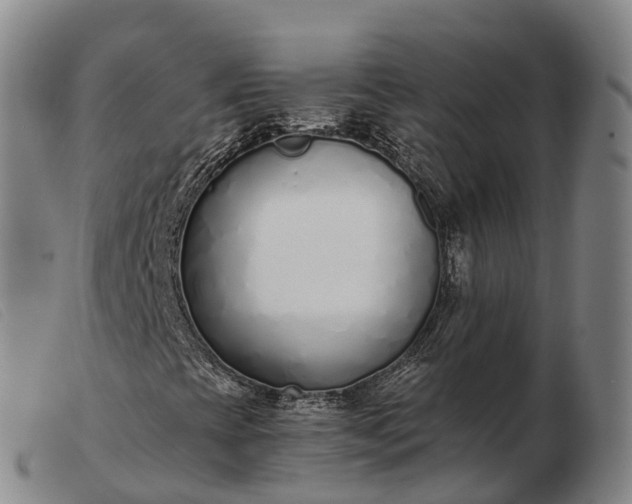 X0000103441393200809191713