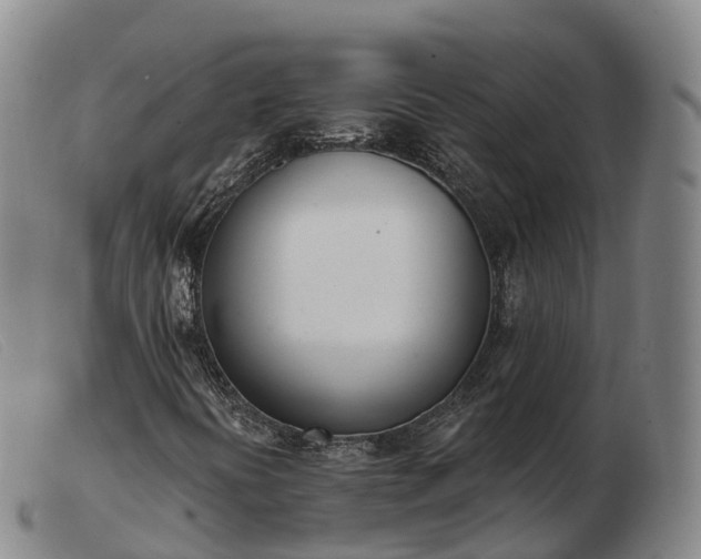 X0000103441394200809191713