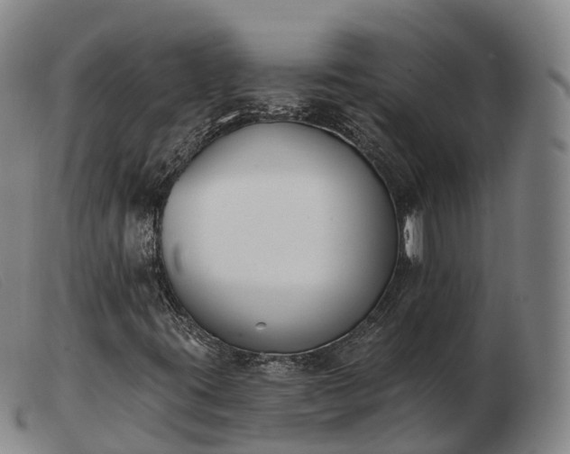 X0000103441395200809191713