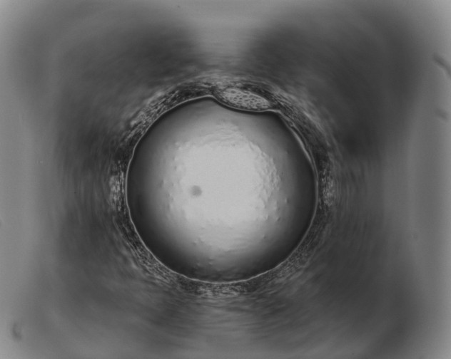X0000103441397200809191713