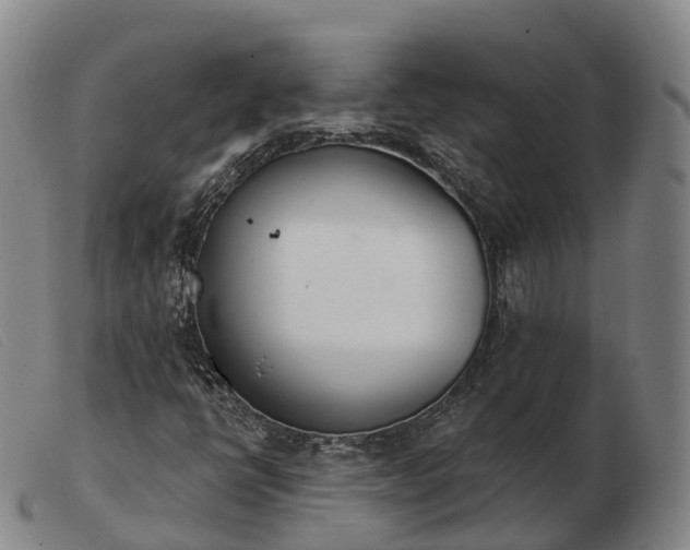 X0000103441398200809191713