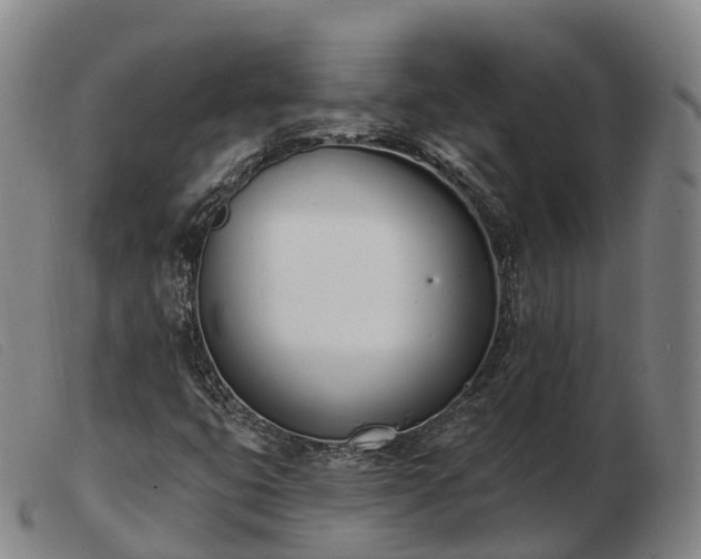 X0000103441399200809191713