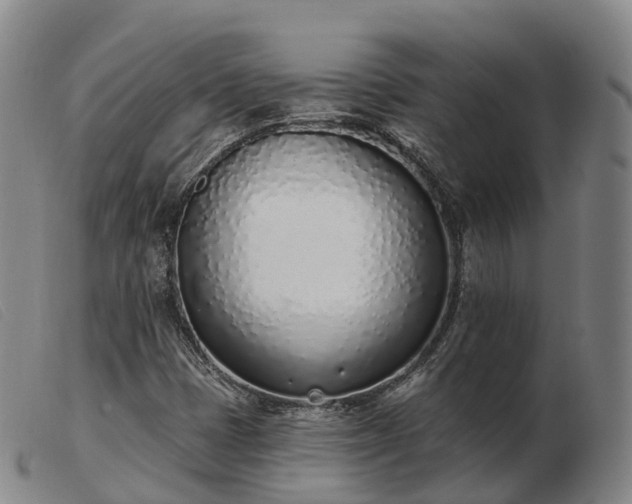 X0000103441401200809191714