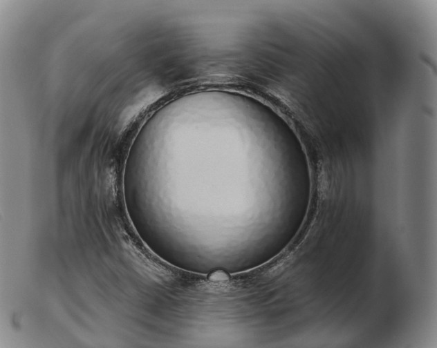 X0000103441402200809191714