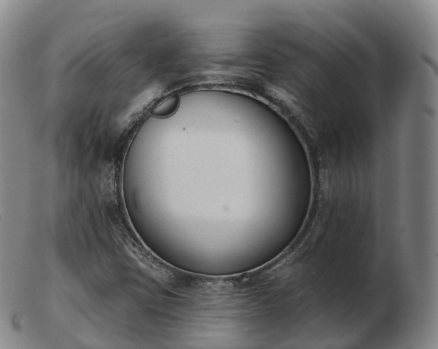 X0000103441403200809191714