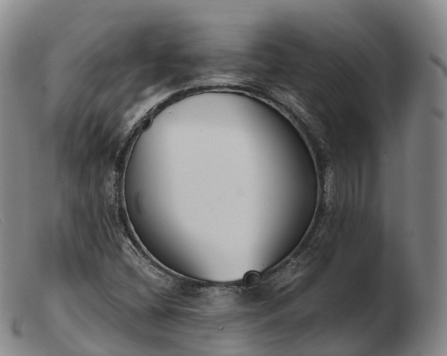 X0000103441404200809191714