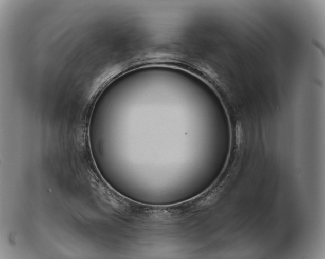 X0000103441405200809191714