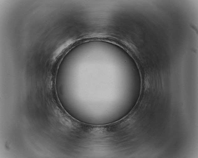 X0000103441406200809191714