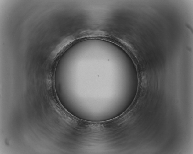 X0000103441407200809191714