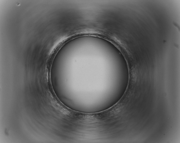 X0000103441408200809191714