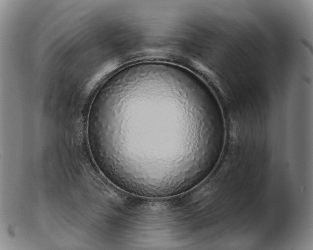 X0000103441411200809191714