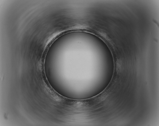 X0000103441412200809191714