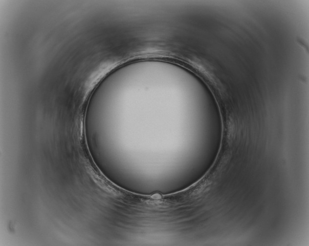 X0000103441413200809191714