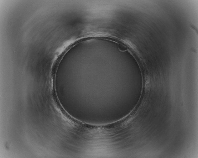X0000103441414200809191714