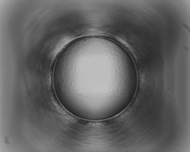 X0000103441415200809191714