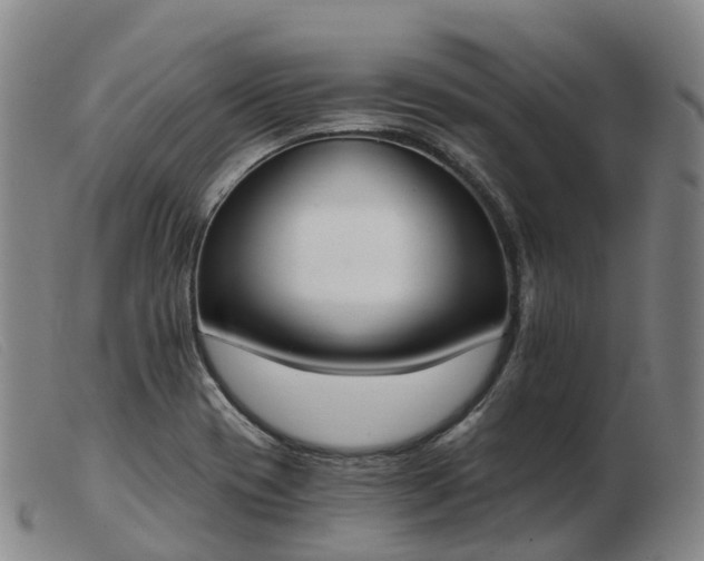 X0000103441417200809191714