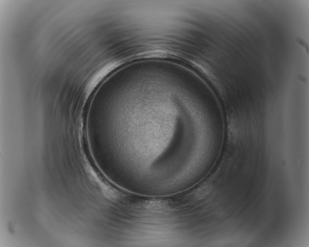 X0000103441418200809191714