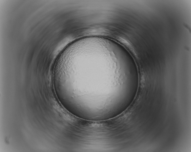 X0000103441419200809191714