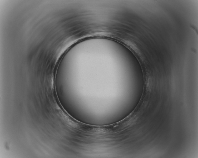 X0000103441420200809191714